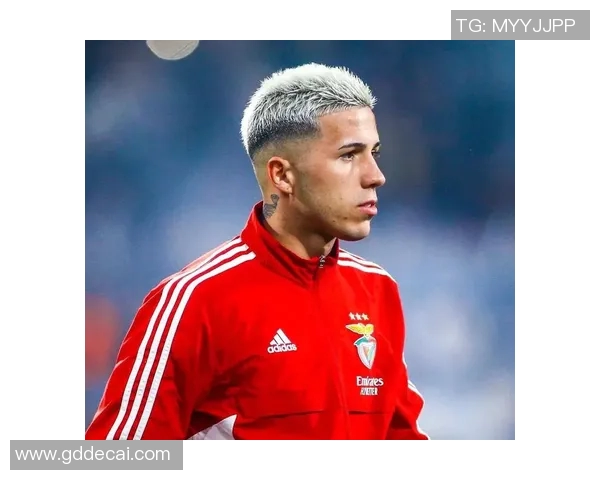 足球明星恩佐的传奇故事与他在绿茵场上的辉煌成就